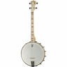 Банджо Deering Goodtime 17-Fret Tenor