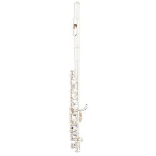 Флейта пикколо Philipp Hammig 650/10 Piccolo Flute Philipp Hammig 650/10 Piccolo Flute