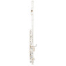 Флейта Philipp Hammig 650/10 Piccolo Flute