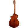 Breedlove Discovery S Concert Nylon CE Breedlove Discovery S Concert Nylon CE