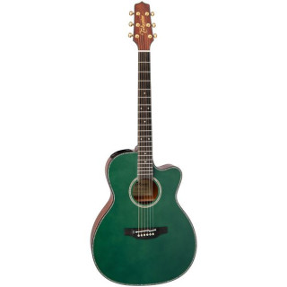 Такамин LTD2025 Takamine LTD2025