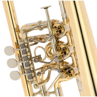 Герд Довидс BZ-серия Bb-Flugelh. G88 необработанный Gerd Dowids BZ-Series Bb-Flugelh. G88 raw