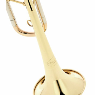 Модель Kühnl & Hoyer 597 Eb- Clarion 30011 Kühnl & Hoyer Model 597 Eb- Clarion 30011