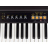 Crumar Mojo 61 MK2 Crumar Mojo 61 MK2