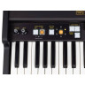 Crumar Mojo 61 MK2 Crumar Mojo 61 MK2
