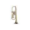 Gerd Dowids серия BZ GL 72 Bb-Труба Gerd Dowids BZ Series GL 72 Bb-Trumpet