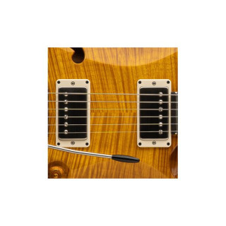 PRS DGT Semi-Hollow LTD PRS DGT Semi-Hollow LTD