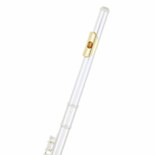 Флейта Yamaha YFL-312GL Flute