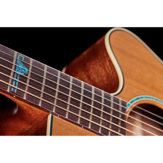 Takamine TSF40C с мягким чехлом Takamine TSF40C w/Softcase