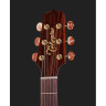 Takamine TSF40C с мягким чехлом Takamine TSF40C w/Softcase