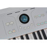 Arturia AstroLab 61 Серебристый Arturia AstroLab 61 Silver