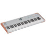 Arturia AstroLab 61 Серебристый Arturia AstroLab 61 Silver