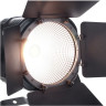 Eurolite LED Theatre COB 100 ВТ/постоянный ток Eurolite LED Theatre COB 100 WW/CW