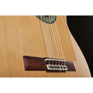 Классическая гитара Alhambra 5Fp OP Pinana incl. Gigbag Alhambra 5Fp OP Pinana incl. Gigbag