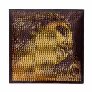 Струна для скрипки Pirastro Evah Pirazzi Gold A Violin 4/4 Pirastro Evah Pirazzi Gold A Violin 4/4