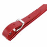 Ремешок для аккордеона Thomann 60 Pro L красный Thomann 60 Pro Accordion Strap L Red