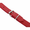 Ремешок для аккордеона Thomann 60 Pro L красный Thomann 60 Pro Accordion Strap L Red
