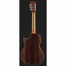 Классическая гитара Hanika BasisCut PC + Pickup System Hanika BasisCut PC + Pickup System