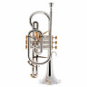 Besson BE2028-2 Prestige Bb-Корнет Besson BE2028-2 Prestige Bb-Cornet