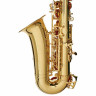 Альт-саксофон Startone SAS-75 Набор №509155 Startone SAS-75 Alto Sax Bundle №509155