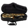 Альт-саксофон Startone SAS-75 Набор №509155 Startone SAS-75 Alto Sax Bundle №509155