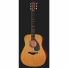 Yamaha FG5 NT Yamaha FG5 NT