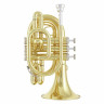 Jupiter JTR710Q Pocket Trumpet Lacquer Jupiter JTR710Q Pocket Trumpet Lacquer