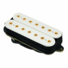 Звукосниматель DiMarzio DP 713W+G Titan 7 Neck