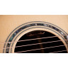 Taylor Legacy Edition 815e Taylor Legacy Edition 815e