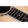 Taylor Legacy Edition 815e Taylor Legacy Edition 815e