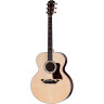 Taylor Legacy Edition 815e Taylor Legacy Edition 815e