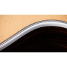Taylor Legacy Edition 815e Taylor Legacy Edition 815e