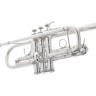 Бах C190SL229 С-труба Bach C190SL229 C-Trumpet