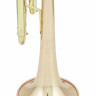 Bach LT18043G Bb-Trumpet Bach LT18043G Bb-Trumpet