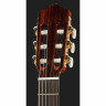 Классическая гитара Cordoba Requinto 1/2 Classical Iberia Cordoba Requinto 1/2 Classical Iberia
