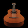 Классическая гитара Cordoba Requinto 1/2 Classical Iberia Cordoba Requinto 1/2 Classical Iberia