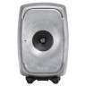 Genelec 8341 RAW Genelec 8341 RAW