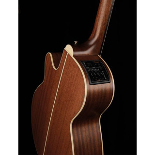 Takamine P3NC Pro Series w/Softcase Takamine P3NC Pro Series w/Softcase