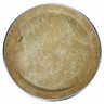 Remo 12,5" Symmetry Fiberskyn D1 Remo 12,5" Symmetry Fiberskyn D1