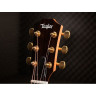 Taylor GS Mini-e Rosewood LTD 50-е место Taylor GS Mini-e Rosewood LTD 50th