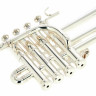 Труба пикколо Thomann TR-901S Piccolo Trumpet Thomann TR-901S Piccolo Trumpet