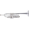 Шагерль Каракас L Струнный Trumpet S Schagerl Caracas L C-Trumpet S