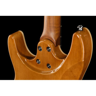 Harley Benton Fusion-IV HSS RW RM Harley Benton Fusion-IV HSS RW RM