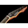 Шектер Мститель Экзотический ZN Schecter Avenger Exotic ZN