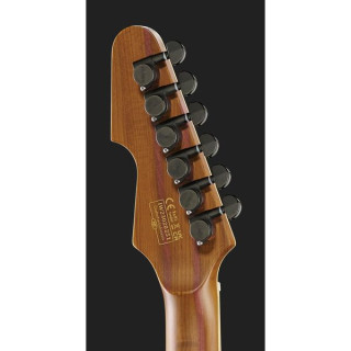 Шектер Мститель Экзотический ZN Schecter Avenger Exotic ZN