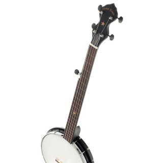 Золотистый тон AC-1FL с открытой спинкой без бретелек Gold Tone AC-1FL Open Back Fretless