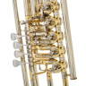 Tavmusic.ru CB-900GL Cimbaso в фа Thomann CB-900GL Cimbasso in F