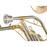 Tavmusic.ru CB-900GL Cimbaso в фа Thomann CB-900GL Cimbasso in F