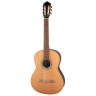 Höfner HLE-EUZ24 Кедр/эвкалипт Höfner HLE-EUZ24 Cedar/Eucalyptus