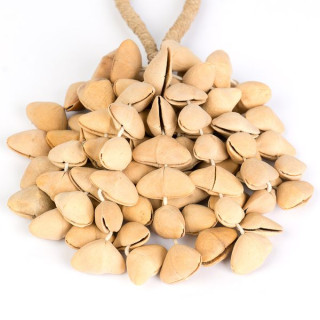 Сейла Сeed Shaker 6-Ряд Кенари Sela Seed Shaker 6-Row Kenari